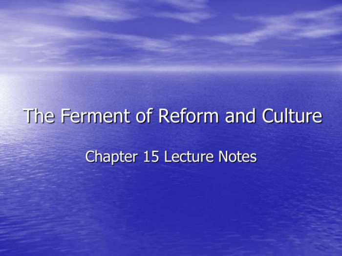 The ferment of reform and culture