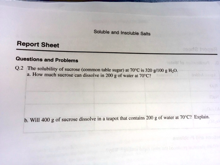 Soluble and insoluble salts report sheet