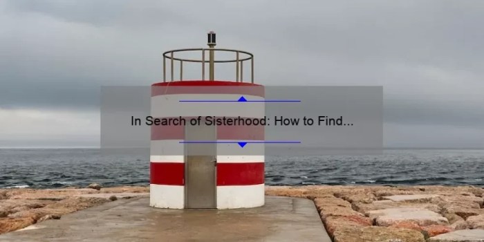 In search of sisterhood free pdf