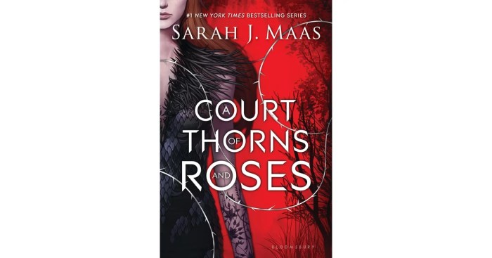 A court of thorns and roses chapter 27