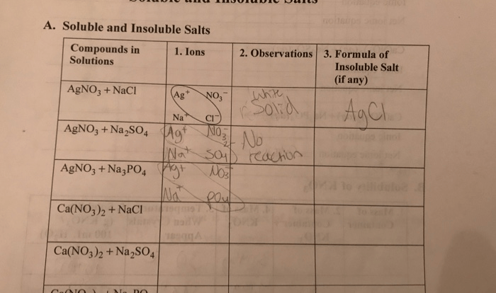 Soluble and insoluble salts report sheet