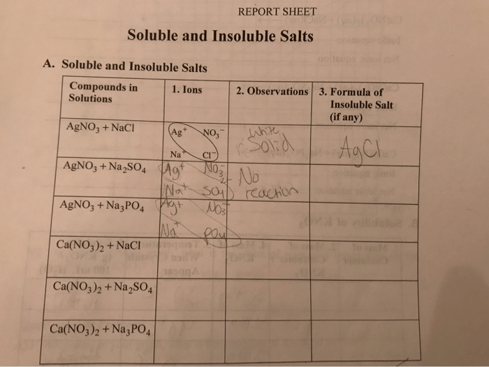 Soluble and insoluble salts report sheet