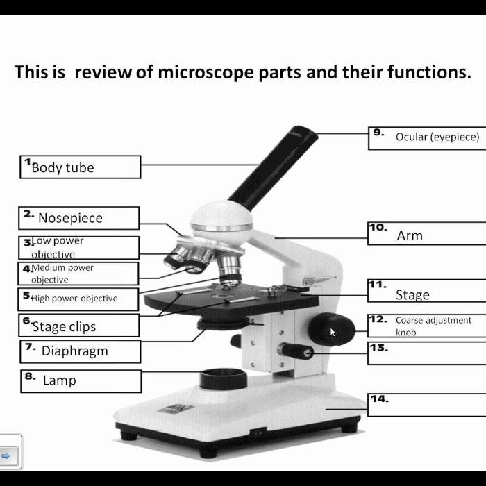 Label parts of microscope worksheet