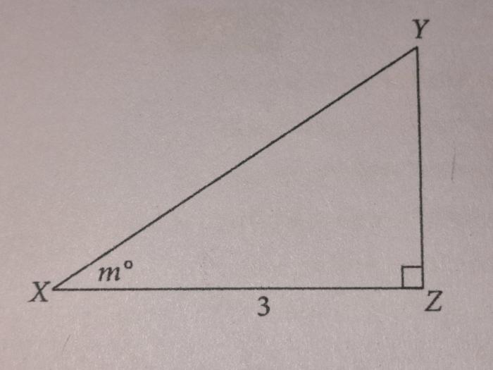 Use the diagram of triangle xyz to answer the questions.