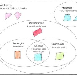 Unit 6 polygons and quadrilaterals answer key