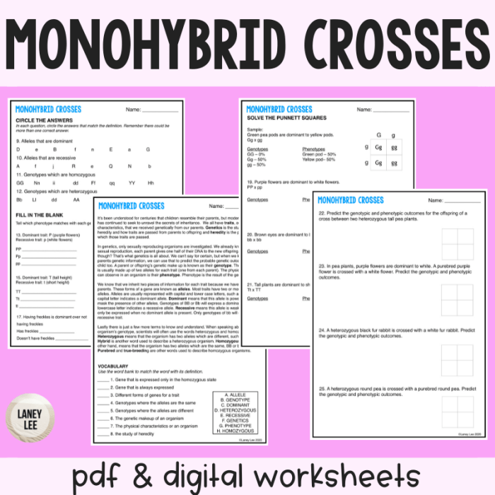 Monohybrid mice practice problems for monohybrid crosses answer key