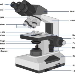 Objective lens types microscope functions lenses their