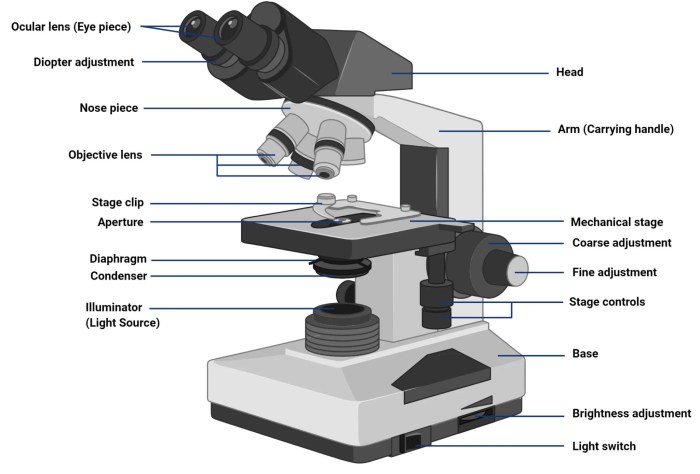 Objective lens types microscope functions lenses their