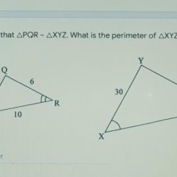 Use the diagram of triangle xyz to answer the questions.