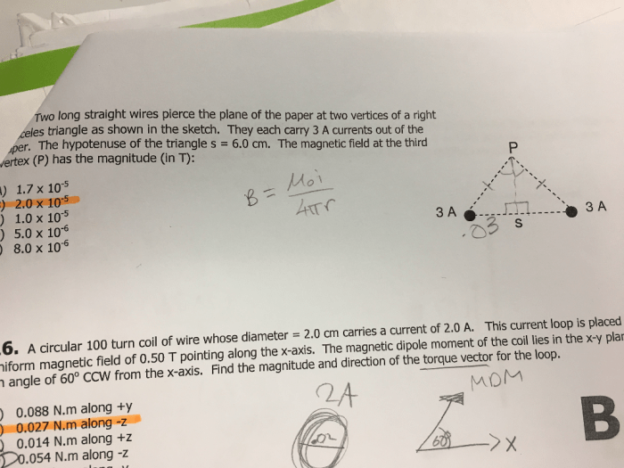 Two wires lie perpendicular to the plane of the paper